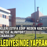 gozdeleristifa