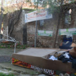 organikozcan 1