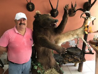 Avlanan, yaralanan ve telef olan hayvanları sergiliyor
