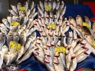 Av yasağı sonrası İstanbul’da balık tezgahları