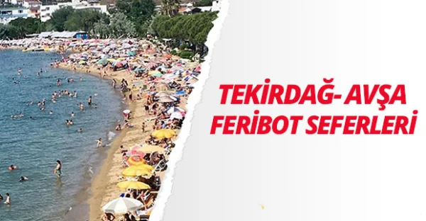 Avşa Feribot Sefer Saatleri