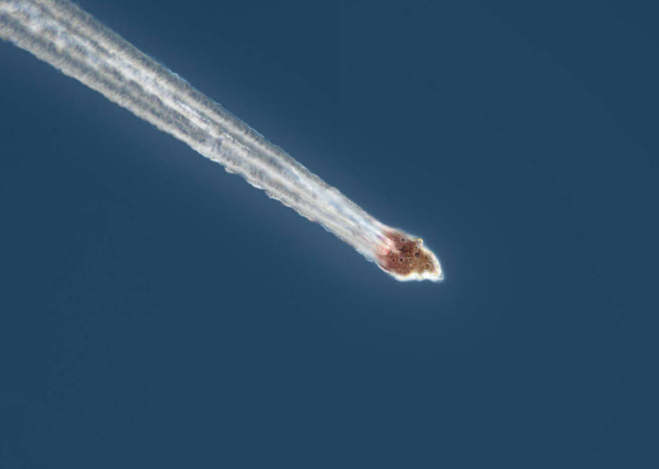 Dünya’ya doğru seyreden asteroid gezegenimize çarpabilir mi?