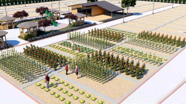 Çorlu’da hobi bahçelerine kayıtlar için son gün 31 Ekim