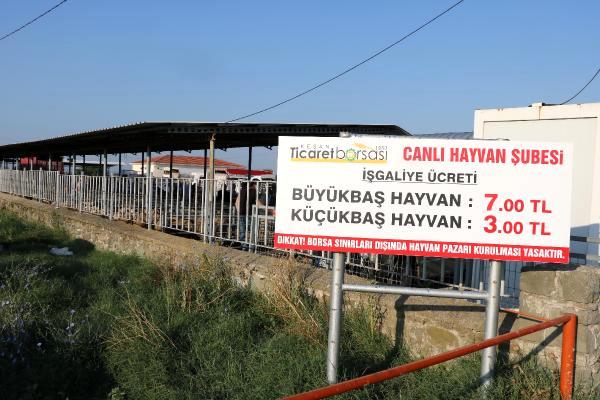 Keşan’da, canlı hayvan pazarı koronavirüs nedeniyle kapatıldı