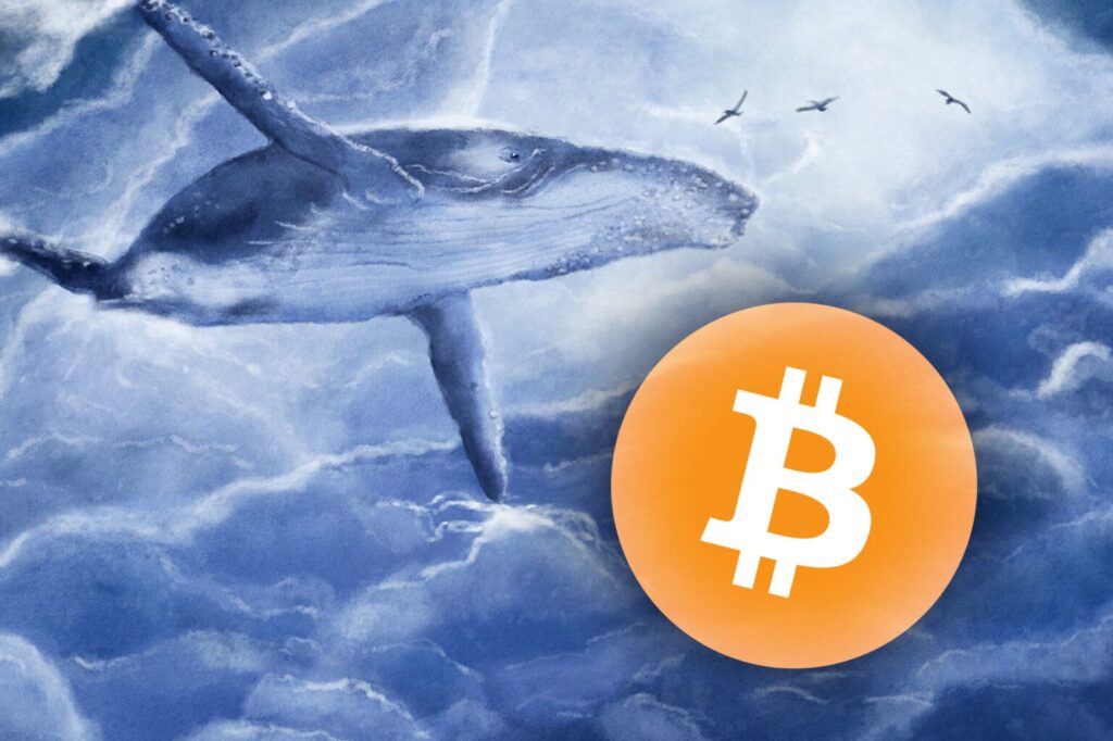 Devasa Bitcoin Balinaları Harekete Geçti: Milyar Dolarlar Nereye Gidiyor?