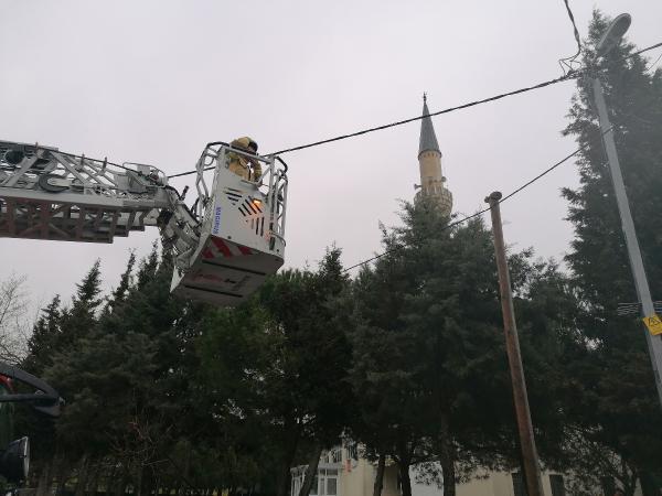 Silivri’de telefon direğinde mahsur kalan yavru kediyi itfaiye kurtardı
