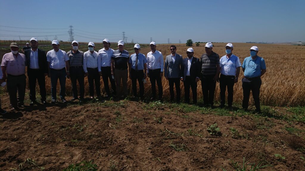 Silivri’de Yerli ve Milli Tohumluk Arpa Hasadı Yapıldı.