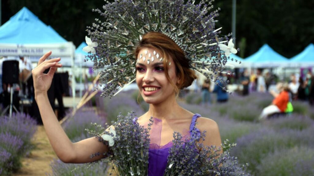 Edirne’de mor tarlalar festival alanına döndü
