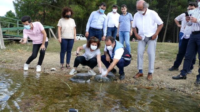 Silivri ve Çatalca’da göletlere sazan yavrusu bırakıldı