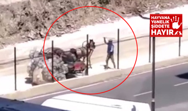 Silivri’de yük taşıyamayan Ata sopayla defalarca böyle vurdu