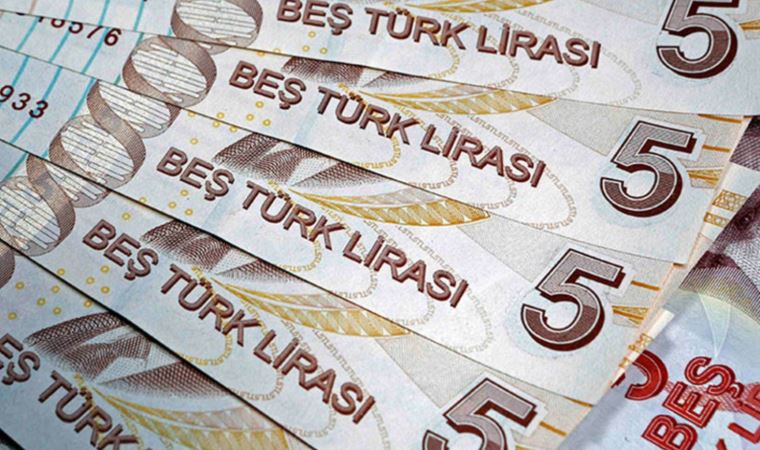 Yeni dönem: 20 TL ve 5 TL’lik banknotlarda değişiklik