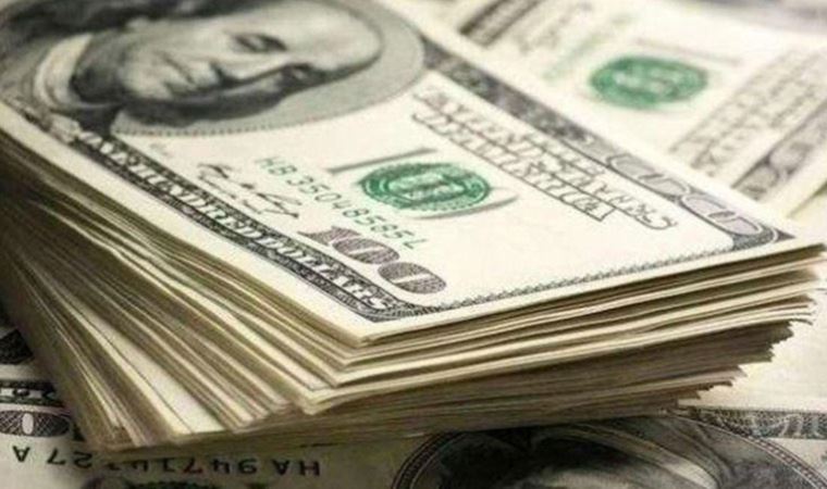 Bakan Elvan konuştu dolar ve euro fırladı
