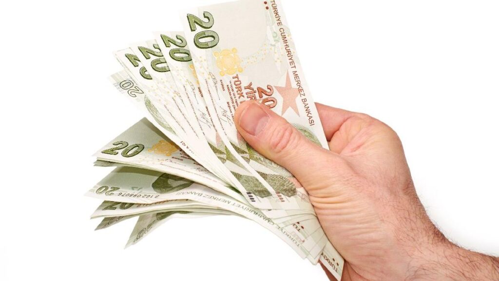 Yeni 20 TL’lik banknotlar tedavüle girdi