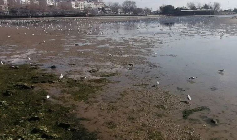 Silivri’de korkutan görüntü: Deniz yaklaşık 200 metre çekildi