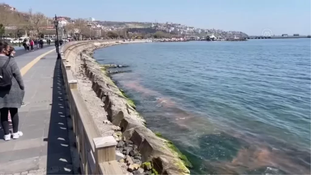 Planktonların çoğalmasıyla deniz suyu turuncuya bürünmeye başladı