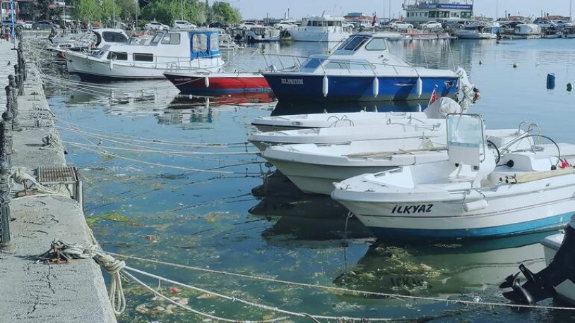 Silivri Sahili’nde deniz çöplüğe döndü: 300 torba çöp çıkarıldı