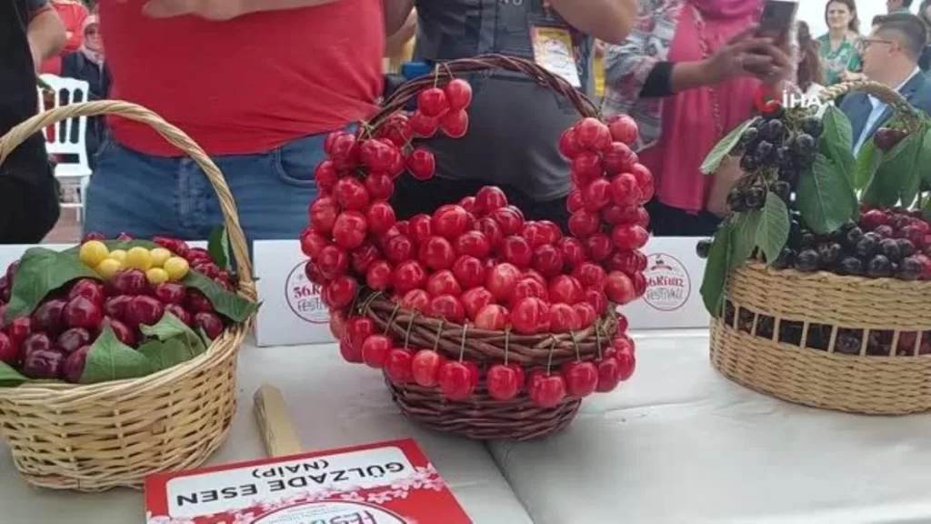 Tekirdağ’ın ‘en güzel kirazı’ seçildi