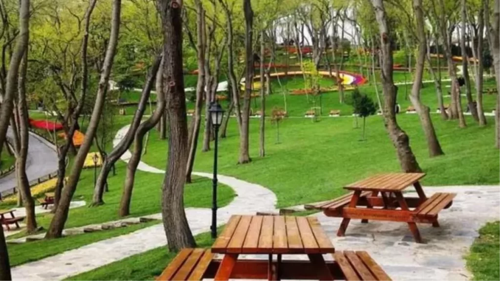 İstanbul’da ormanlık alan ve mesire yerlerinde mangal yapmak yasaklandı