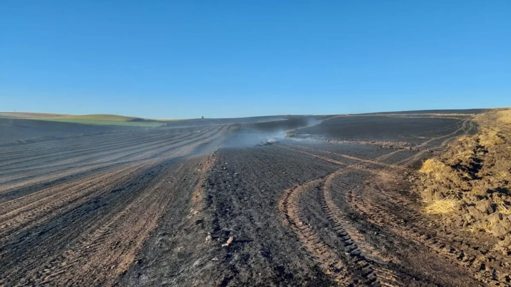 Tekirdağ’da bin dönüm tarım alanı yandı