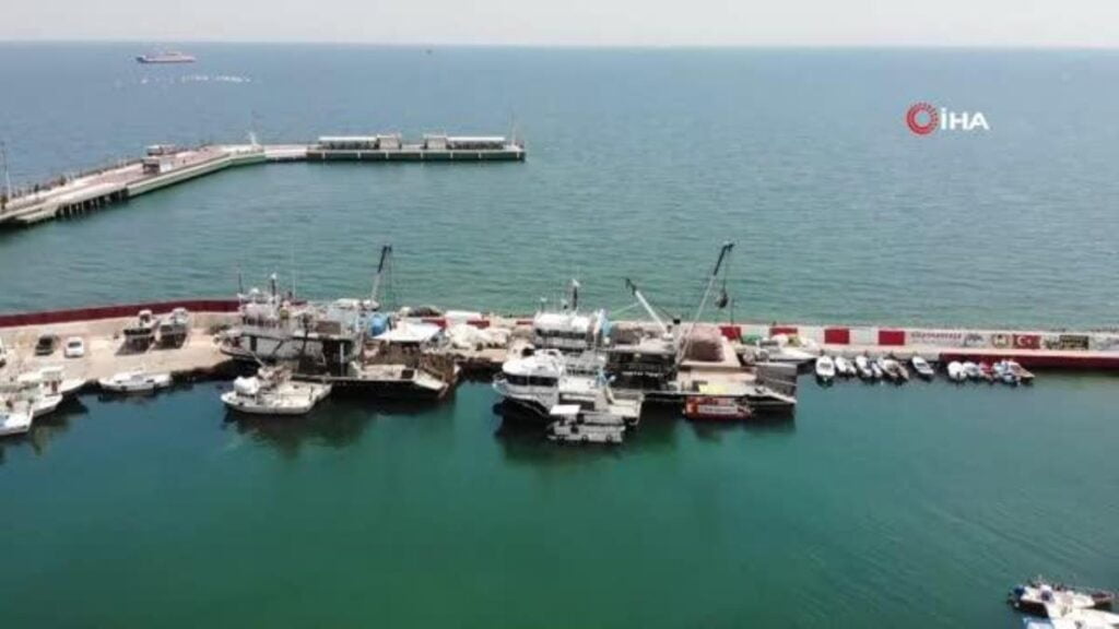 Karadeniz’de ‘palamut bolluğu’ söylentileri Tekirdağlı balıkçıları heyecanlandırdı