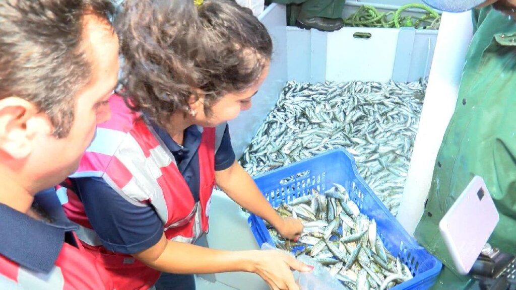 Marmara Denizi’nde avlanan balıkçılar denetlendi