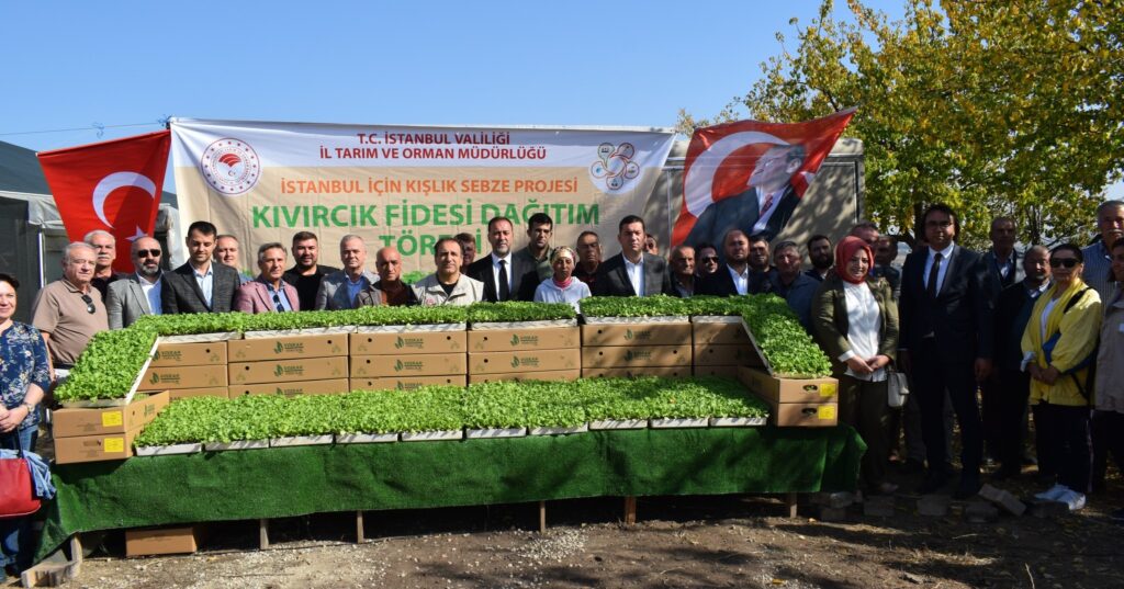 Silivri İlçe Tarım’dan Kıvırcık Fidesi Dağıtımı yapıldı