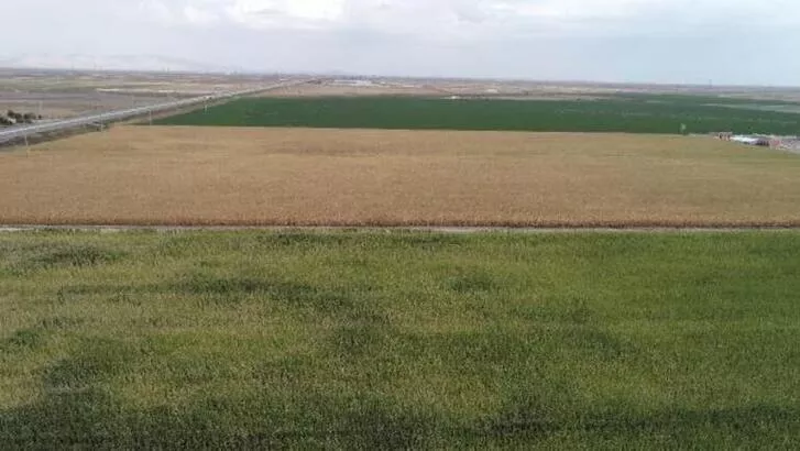Silivri Belediyesi’nden arsa satış ihalesi