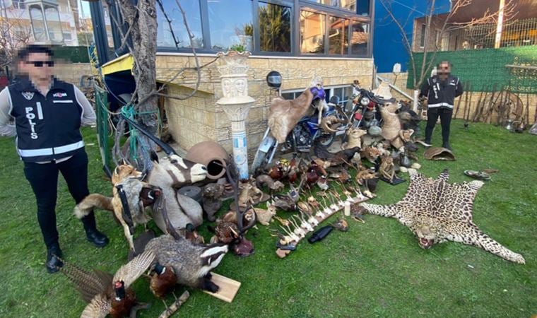 Silivri’de ‘tarihi eser’ operasyonu: Amfora, kafatasları, şifa taşları, hayvan boynuzları…