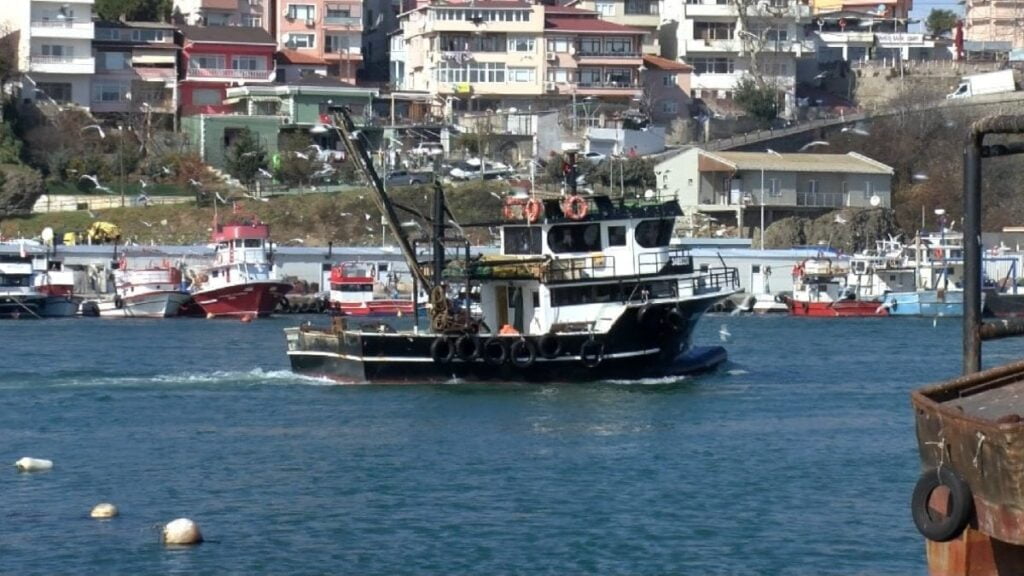Hamsi avcılığı, Marmara Denizi ile boğazlarda durduruldu