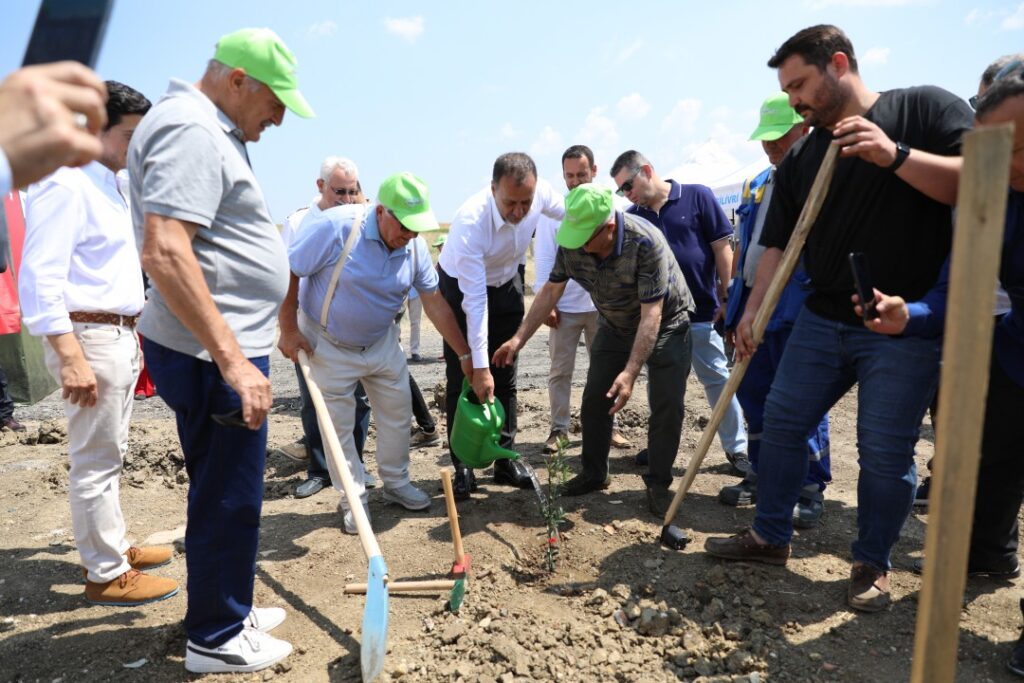 Silivri’de 5.100 adet yağlık zeytin fidanı dikildi.