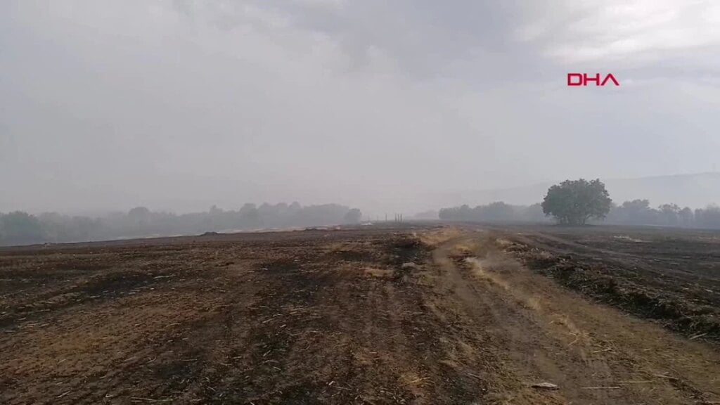 Silivri’de Anız Yakımı Sırasında Çıkan Yangın Kontrol Altına Alındı