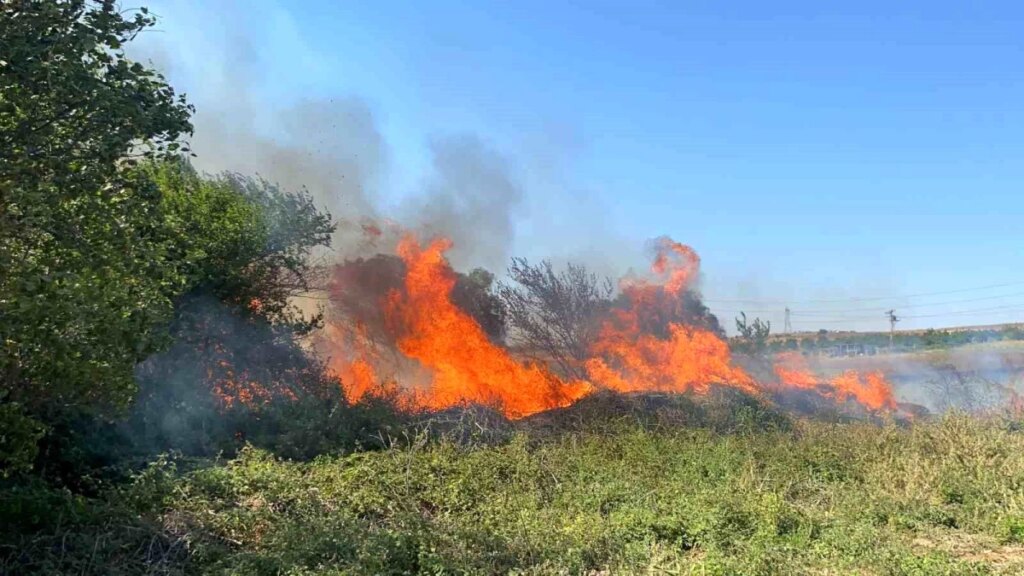 Tekirdağ Marmara Ereğlisi’nde Yangın Kontrol Altına Alındı