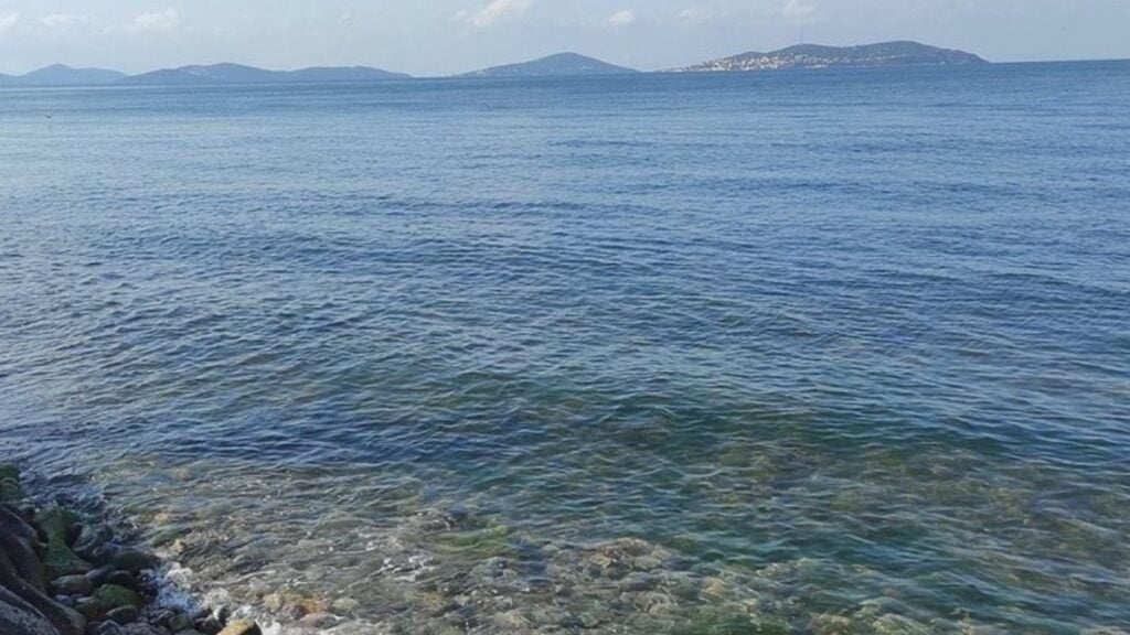 Marmara Denizi’nde ‘Oksijen azlığı’ alarm!