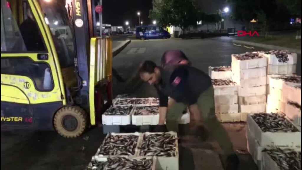 Beylikdüzü Gürpınar Su Ürünleri Hali’nde Denetimler Yapıldı