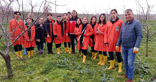 Öğrencilere Meyve Ağaçlarında Budama Eğitimi düzenlendi.