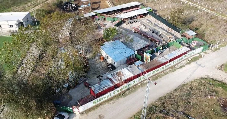 Hayvan derneği yöneticisi dolandırıcı çıktı