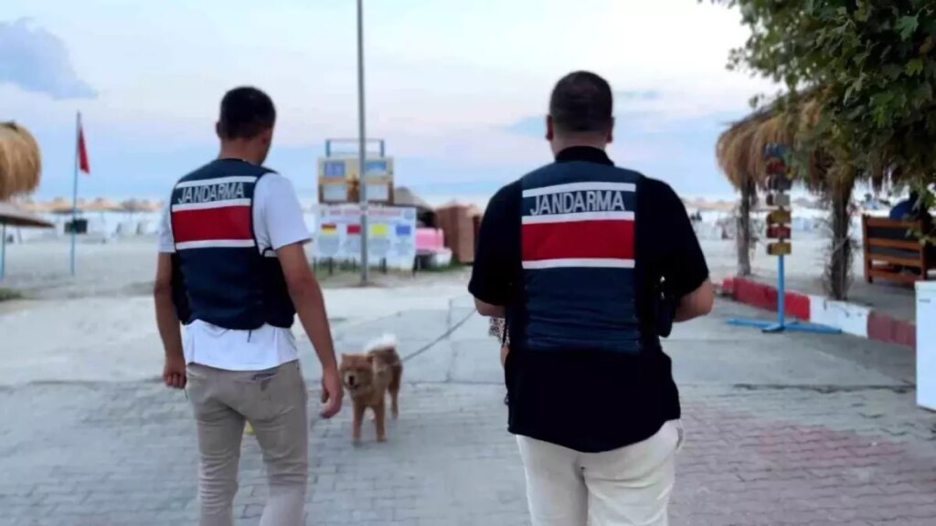 Marmaraereğlisi’nde Zıpkın-22 Operasyonu: 6 şahıs yakalandı, 3 kişiye para cezası kesildi