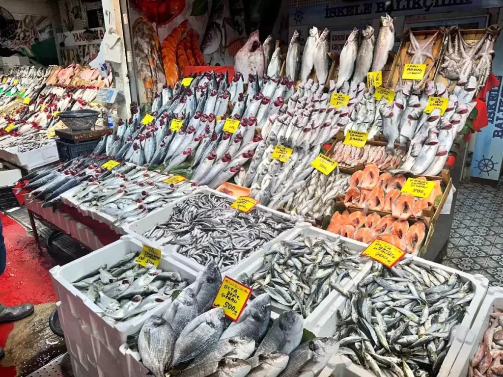 Balık Sezonunda Hamsi ve Çinekop Bolluğu, Palamut Fiyatları Yükseldi