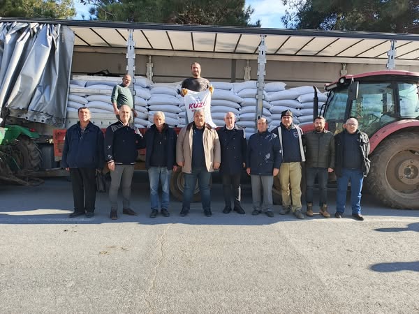 Üreticilere 94 Tonluk Kuzu Yemi Dağıtıldı