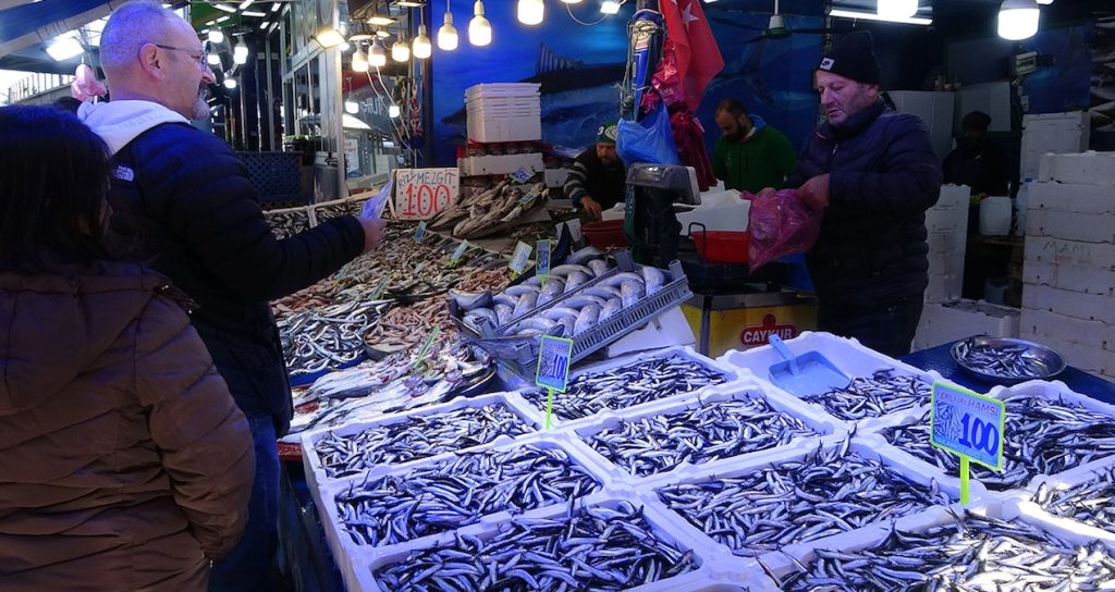 Hamsi, palamut, sargan… Havalar soğudu, fiyatlar değişti