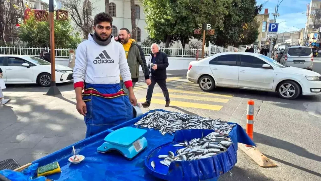 Tekirdağ’da Hamsi ve İstavrit Fiyatları 100 TL
