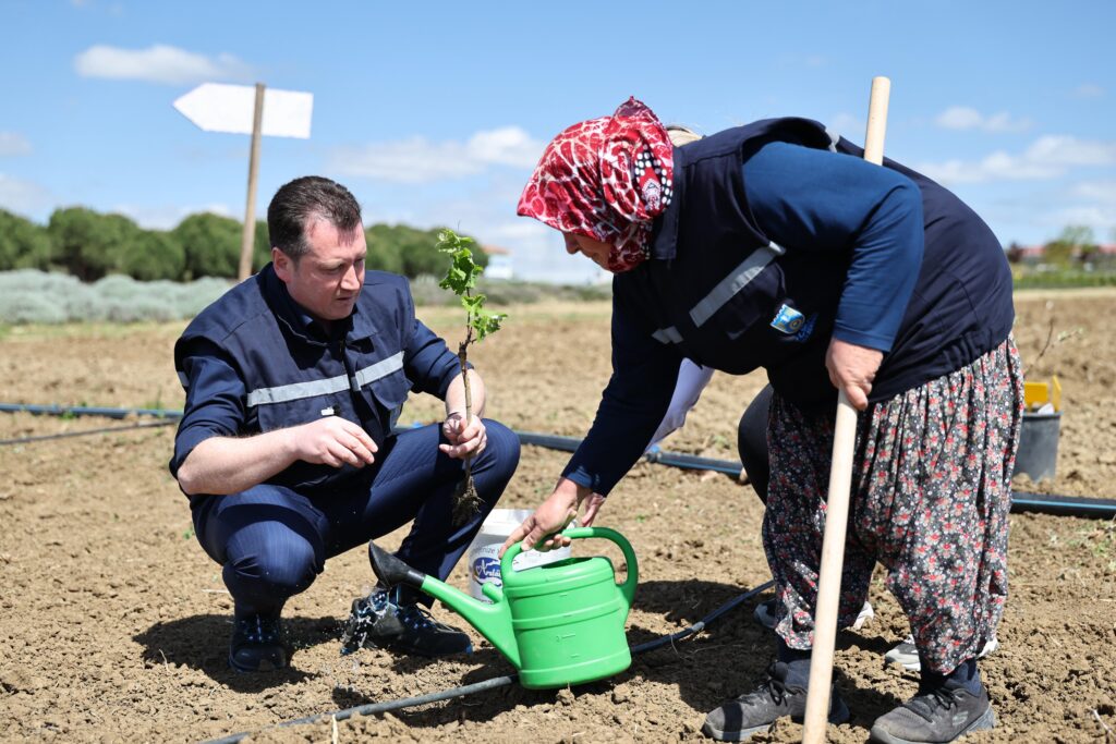 Silivri Belediyesi’nden Tarımsal Üretime Katkı