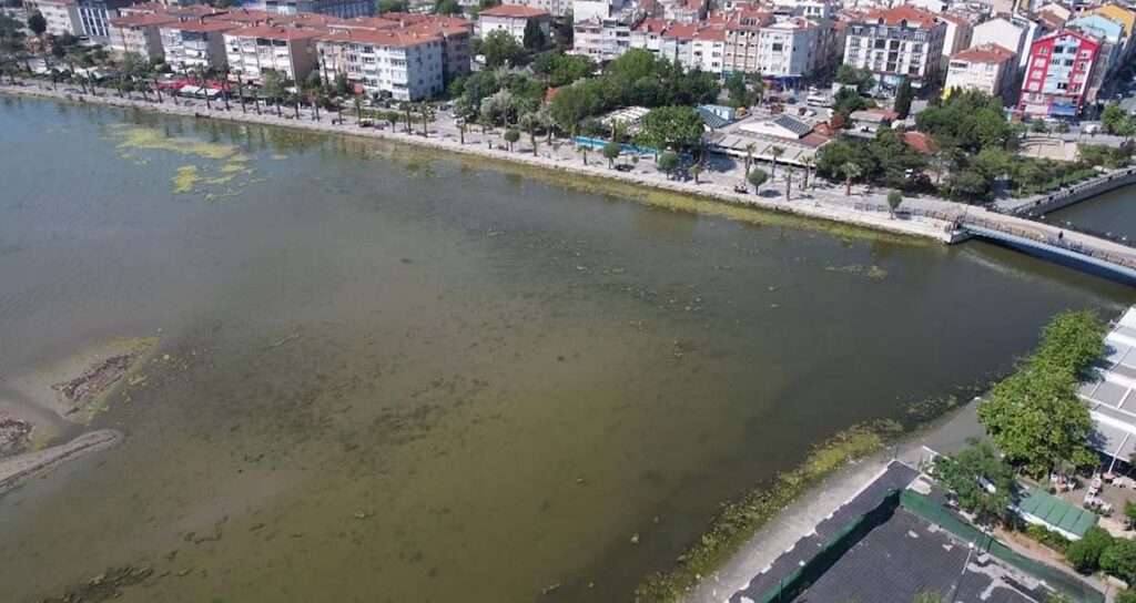 Silivrilileri tedirgin eden görüntü: Alg patlaması!