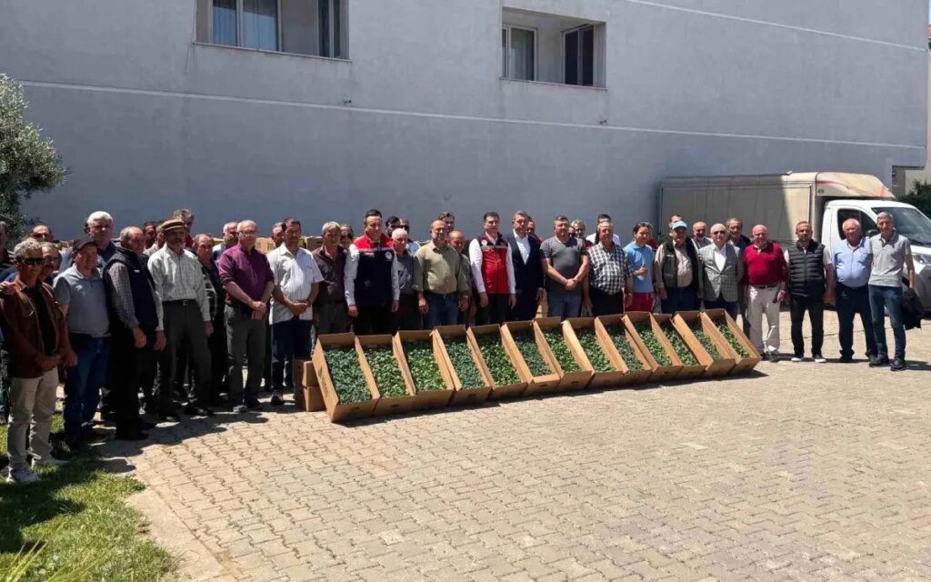 Tekirdağ’da Sebzecilik Projesi: 314 Üreticiye Fide Dağıtıldı