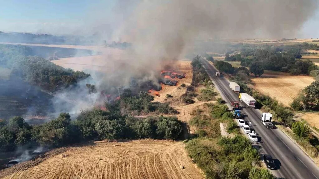 Edirne’deki Orman Yangını Sınır Kapısı Yolunu Kapattı
