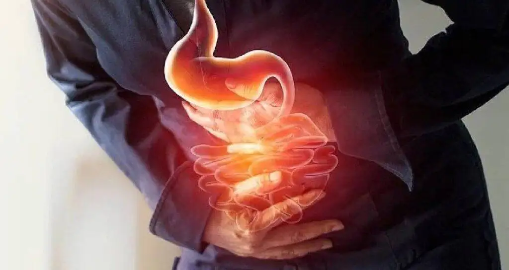 Ne avokado ne de kayısı: Bağırsak için en iyi meyve açıklandı