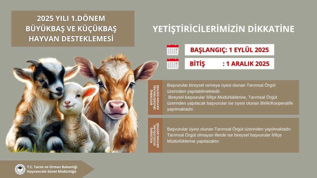 2025 Yılı 1. Dönem Hayvan Desteklemesi Başvuruları Başlıyor