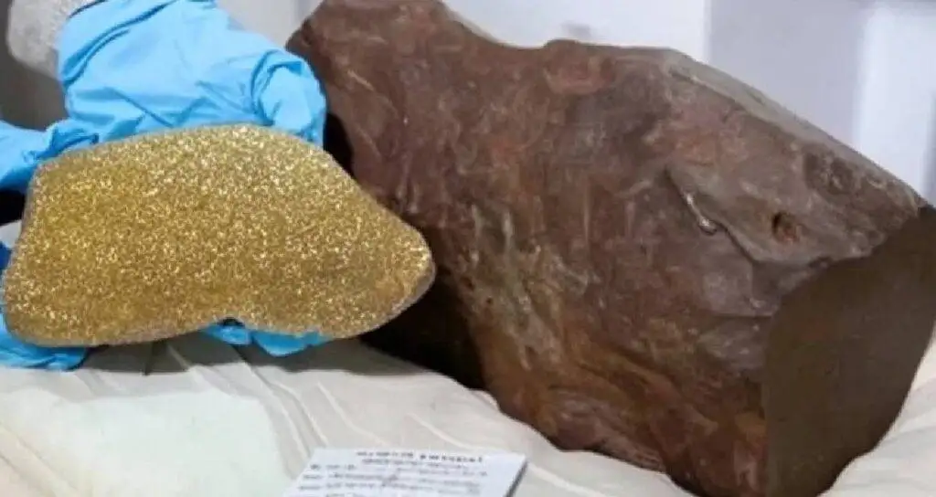 Bulduğu taşı altın sandı gerçek başka çıktı: Dünyada yalnızca 17 tane var, değeri paha biçilmez