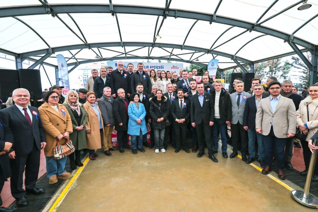 silivri aycicegi tohumu 1 2026