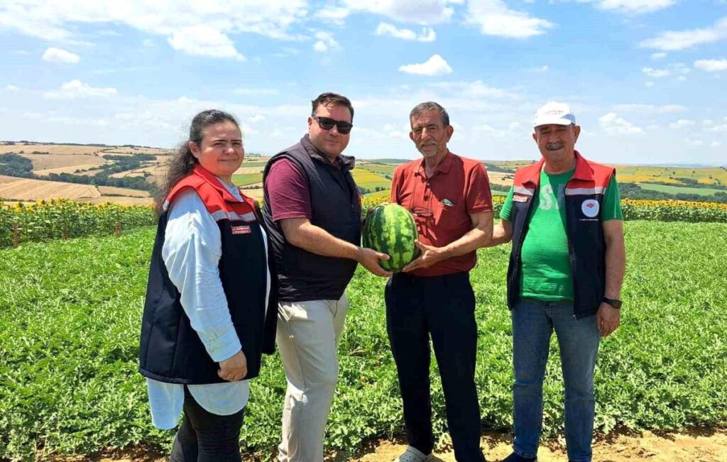 Tekirdağ’da ilk karpuz hasadı başladı